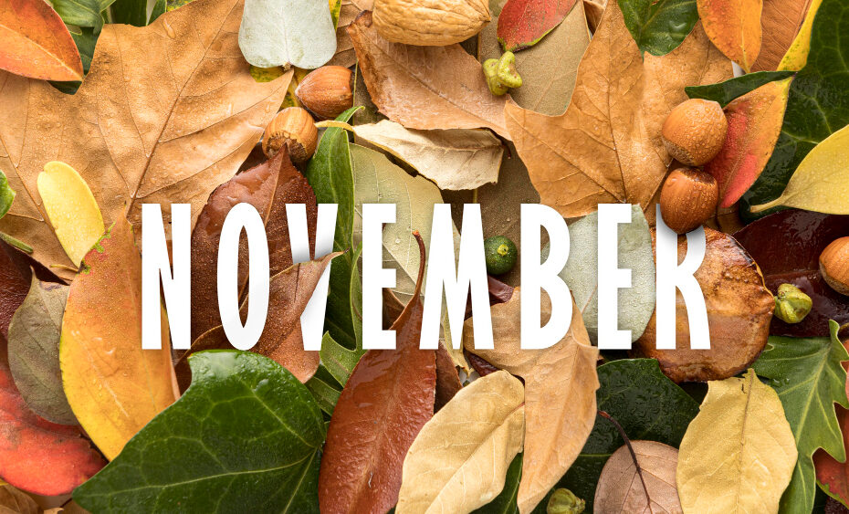 A background of colorful autumn leaves and nuts in various shades of brown, green, and orange, representing the fall season. The word "November" is prominently displayed in bold, white letters across the center of the image, symbolizing the month. The image evokes the essence of November with its warm, earthy tones and natural elements, highlighting the transition into late autumn.