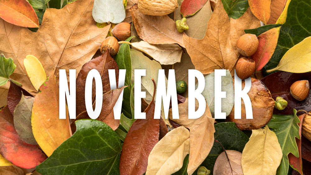 A background of colorful autumn leaves and nuts in various shades of brown, green, and orange, representing the fall season. The word "November" is prominently displayed in bold, white letters across the center of the image, symbolizing the month. The image evokes the essence of November with its warm, earthy tones and natural elements, highlighting the transition into late autumn.