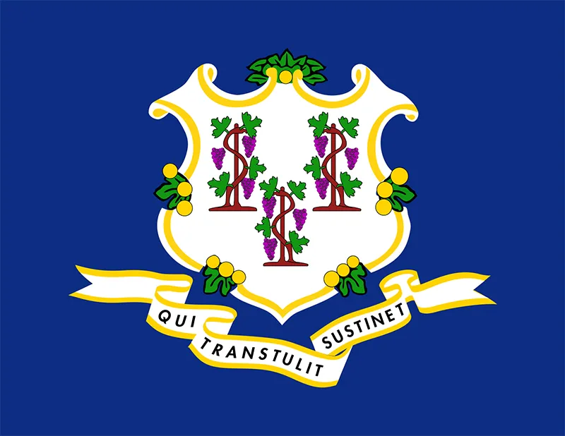 Connecticut flag