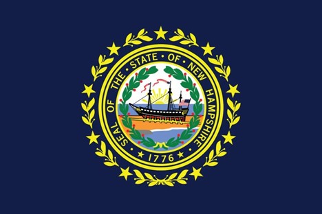 New Hampshire flag