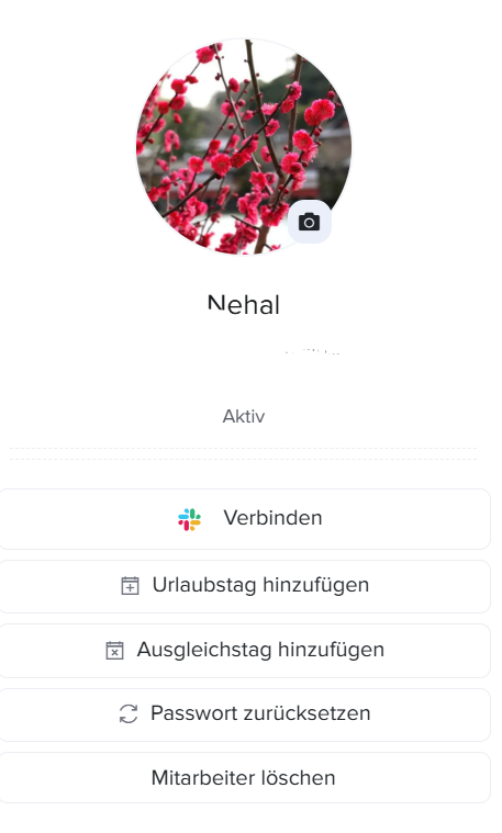 Einstellungsansicht mit Optionen für Kompensation, halbe Tage, automatische Genehmigung, negatives Guthaben und verzögerten Anspruch sowie Speicher-Button.